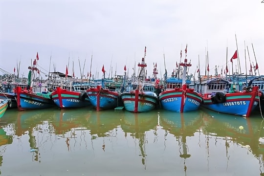 Vi phạm IUU, một chủ tàu bị phạt hơn 900 triệu đồng