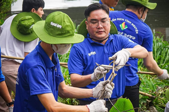 Hàng ngàn bạn trẻ chung tay làm "xanh, sạch" môi trường