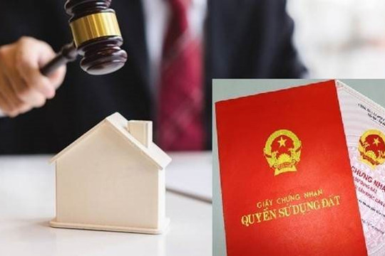 Đồng Nai: Tòa hủy quyết định thu hồi đất do sai sót từ khi cấp Sổ đỏ