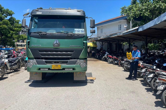 Tăng hiệu quả xử lý vi phạm trật tự giao thông qua đường dây nóng