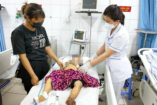 Bé trai 2 tuổi bị rắn hổ mang cắn khi đang ngủ trưa
