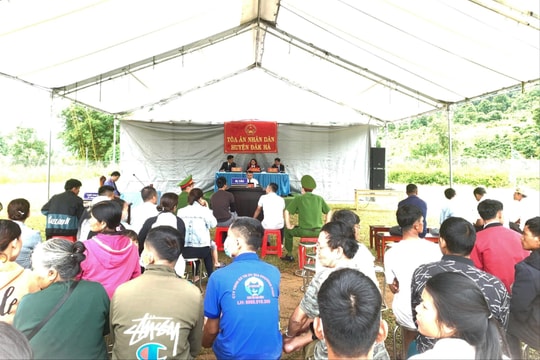 Xét xử lưu động vụ án Vi phạm quy định về khai thác, bảo vệ rừng và lâm sản