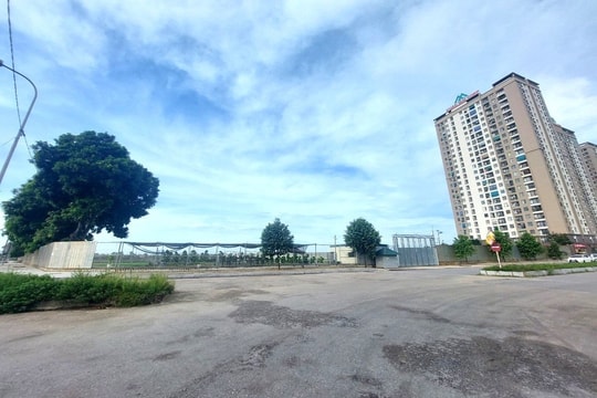 Dự án của Công ty Tiến Nông vẫn “án binh bất động” sau khi thắng kiện