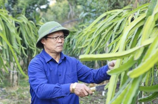 Chuyện về những “thương binh tàn nhưng không phế”
