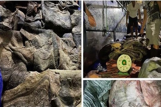 Phát hiện hơn 3 tấn mỡ và da động vật bốc mùi hôi thối