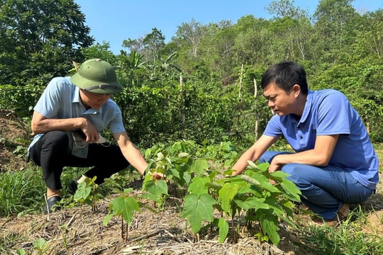 Bản đồ Thổ nhưỡng giúp khai phá huyện nghèo Mường Lát