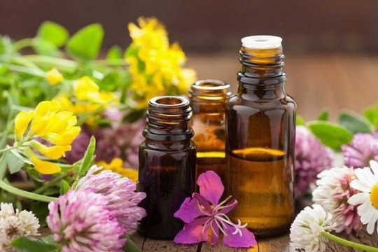Thu hồi trên toàn quốc lô tinh dầu hoa bưởi không đạt chất lượng