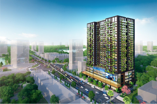Hà Nội: 02 chung cư cũ đã hoàn thành việc cải tạo, xây lại
