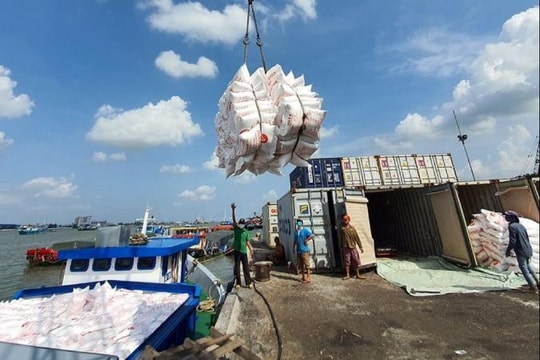 Bộ NN&PTNT kiến nghị Thủ tướng ra chỉ thị về xuất khẩu gạo trong tình hình mới