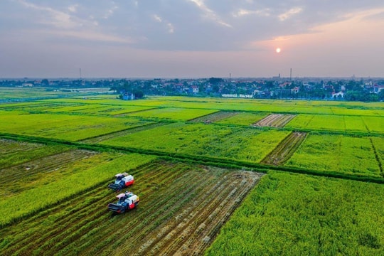 6 cán bộ xã ở Hưng Yên bị khởi tố vì thu tiền trái quy định của 12 hộ dân
