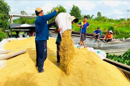 Đề xuất giao cho địa phương cấp Giấy chứng nhận kinh doanh xuất khẩu gạo