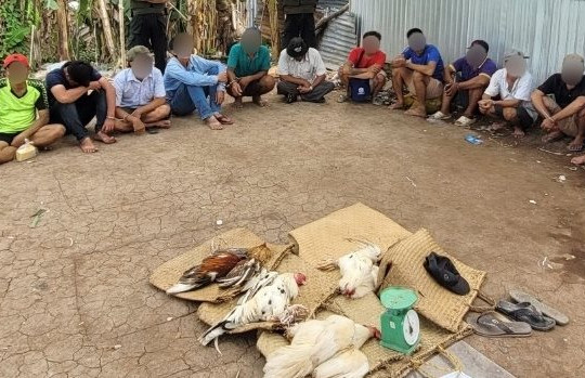 Bắt quả tang 18 đối tượng tham gia đá gà ăn tiền