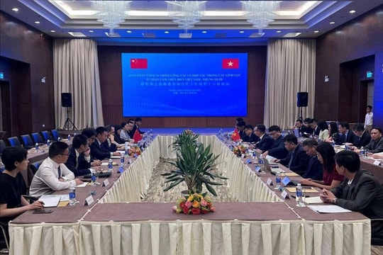 Việt Nam - Trung Quốc tiến hành đàm phán vòng 16 về hợp tác trong các lĩnh vực ít nhạy cảm trên biển