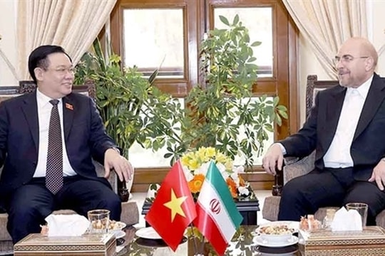 Phát huy vai trò của Cơ quan lập pháp thúc đẩy quan hệ song phương Việt Nam - Iran