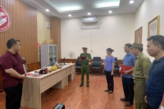 Bắt tạm giam Giám đốc Trung tâm Văn hóa - Điện ảnh tỉnh Hòa Bình