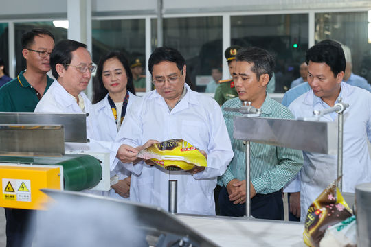 Thủ tướng thăm một số cơ sở sản xuất, chế biến lúa gạo hiện đại, công nghệ cao