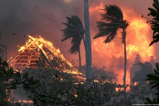 Điều gì đã gây ra những vụ cháy rừng kinh hoàng ở Hawaii?