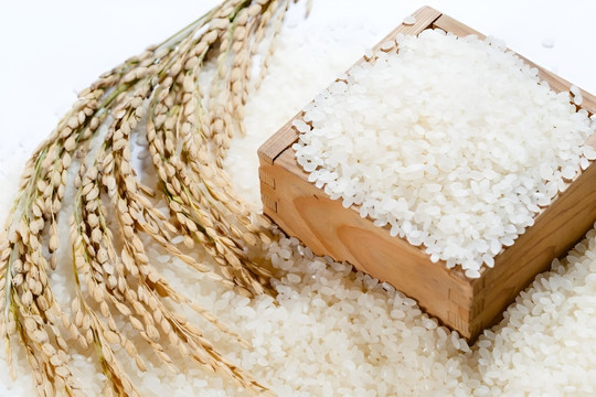 Ngăn chặn hành vi đầu cơ, găm hàng, định giá bất hợp lý đối với mặt hàng gạo
