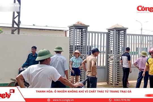 Thanh Hóa: Ô nhiễm không khí vì chất thải từ trang trại gà