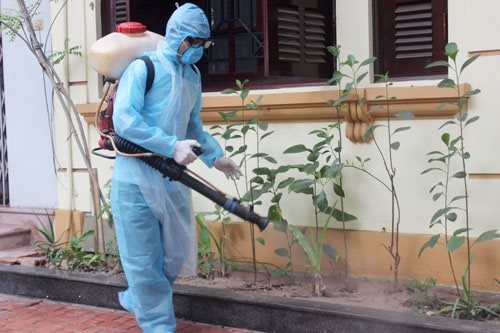 Kiên quyết xử lý tổ chức, cá nhân không tuân thủ phòng, chống sốt xuất huyết