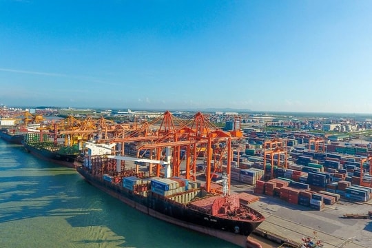 Doanh nghiệp vận tải biển kỳ vọng hai quý cuối năm khởi sắc