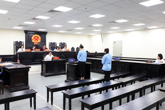 Hoãn phiên tòa xét xử hai “bảo mẫu” bạo hành bé trai 17 tháng tuổi