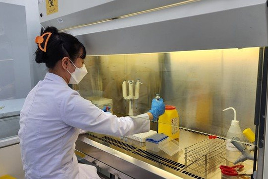 TP.HCM lập ngân hàng huyết thanh giúp kiểm soát bệnh truyền nhiễm