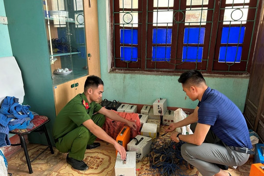 Nạn tận diệt giun đất ở xứ Thanh (Bài 1)