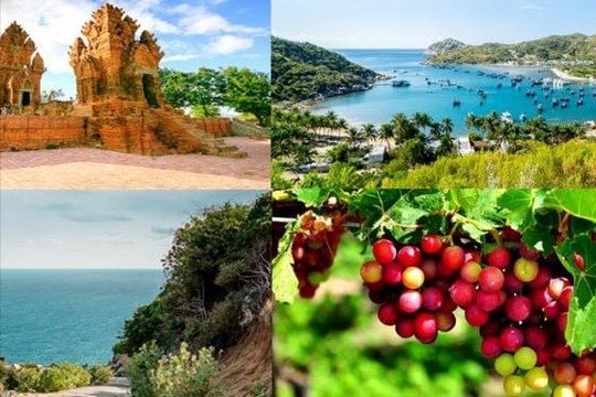 Thành lập Trung tâm xúc tiến đầu tư, thương mại và du lịch Ninh Thuận
