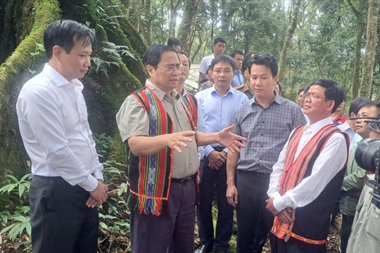 Thủ tướng Phạm Minh Chính tặng 12.000 cây giống sâm Ngọc Linh cho hộ nghèo