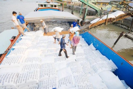 Giá gạo xuất khẩu Việt Nam cao nhất thế giới