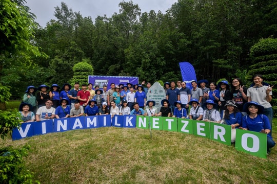 Vinamilk khoanh nuôi tái sinh 25ha rừng ngập mặn Cà Mau