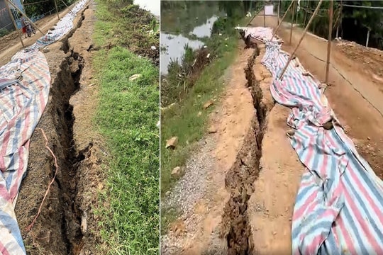 Khẩn trương khắc phục sự cố sụt lún, sạt lở đê tả sông Càn