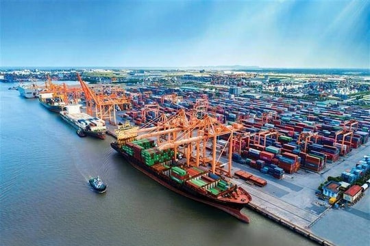Xây cảng biển 6.800 tỷ đồng ở Bình Định: Nghi ngờ khả năng huy động vốn của Công ty Long Sơn