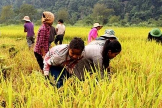 Thành tựu về xóa đói, giảm nghèo của Việt Nam