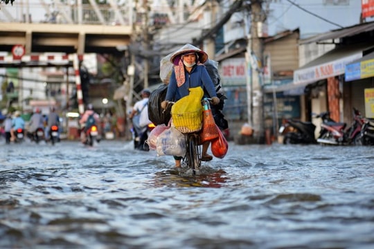 TP Hồ Chí Minh: Dự án chống ngập đang “tắc” ở đâu?
