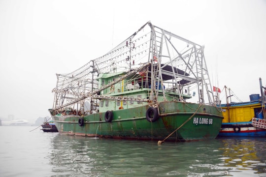 Nhiều tàu cá tại Quảng Ninh bị mất kết nối giám sát
