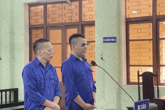 Lĩnh án tù vì đưa người khác nhập cảnh trái phép