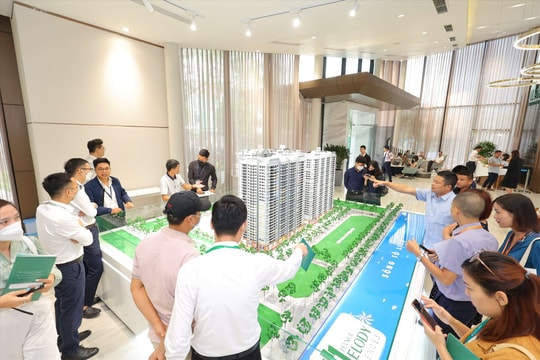 Giao dịch bất động sản thông qua sàn: Nên khuyến khích hay bắt buộc?