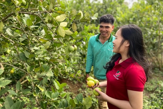 Agribank dành nguồn lực lớn thực hiện mục tiêu quốc gia về xây dựng nông thôn mới giai đoạn 2021-2025