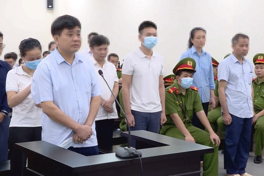 Cựu Chủ tịch Nguyễn Đức Chung nói gì về việc “thổi giá” cây xanh ở Hà Nội?