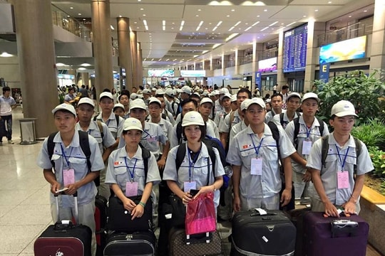 Hơn 8.000 lao động Hà Tĩnh đi xuất khẩu lao động ở nước ngoài