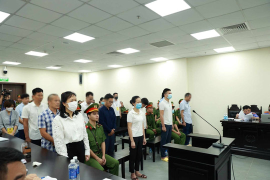 Việc "thổi giá" cây chà là, bàng lá nhỏ diễn ra như thế nào?