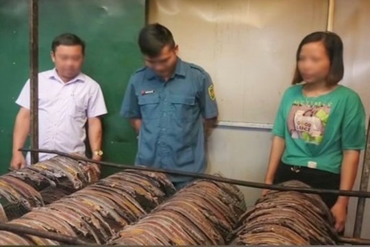 Hòa Bình: “Mạnh tay” xử lý nạn tận diệt giun đất