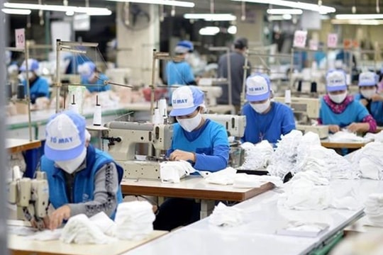 Tiếp tục hỗ trợ đoàn viên, người lao động giãn việc, mất việc