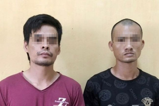 Bắt 2 đối tượng dùng kìm cộng lực cắt trộm dây cáp điện