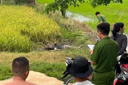 Người đàn ông tử vong ở ruộng lúa, nghi bị điện giật