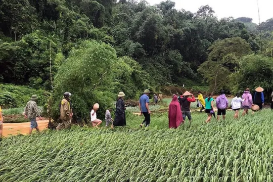 Tuyên Quang: Thiếu nữ bị lũ cuốn trôi khi qua cầu tràn lúc nửa đêm