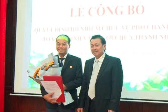 Bổ nhiệm Phó Chánh tòa Tòa Gia đình và người chưa thành niên