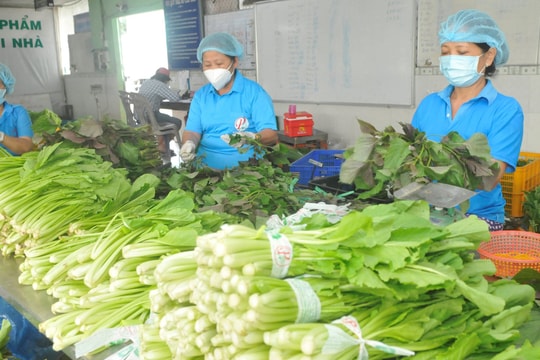Xuất khẩu rau quả lên ngôi lập kỷ lục tới 5 tỷ USD